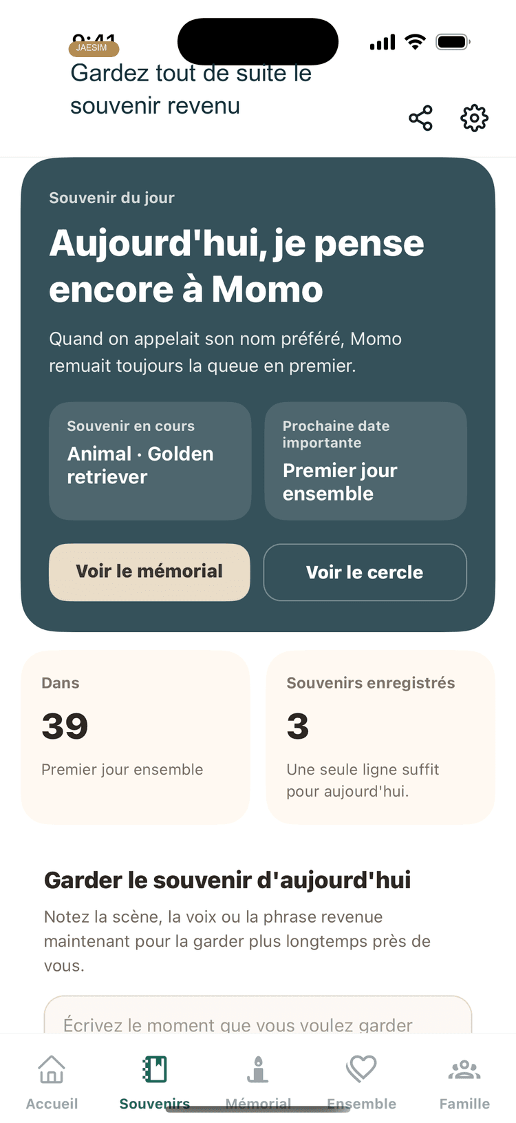 Ecran de souvenirs